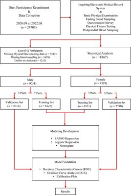 Establishment of hypertension risk nomograms based on physical fitness parameters for men and women: a cross-sectional study